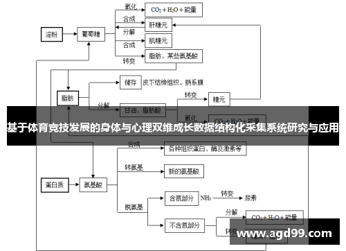 基于体育竞技发展的身体与心理双维成长数据结构化采集系统研究与应用
